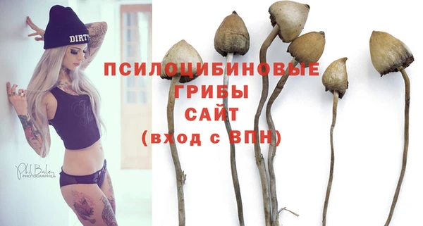 первитин Вязьма