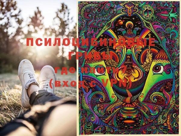 jwh Вяземский