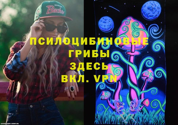 jwh Вяземский