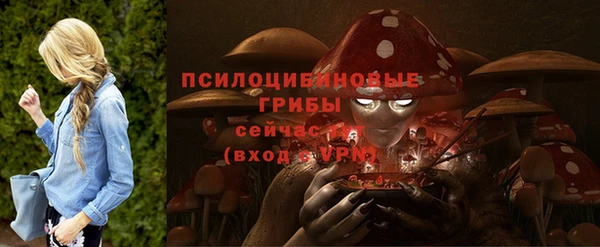 дживик Вязники